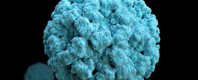 a close up of a spherical virus