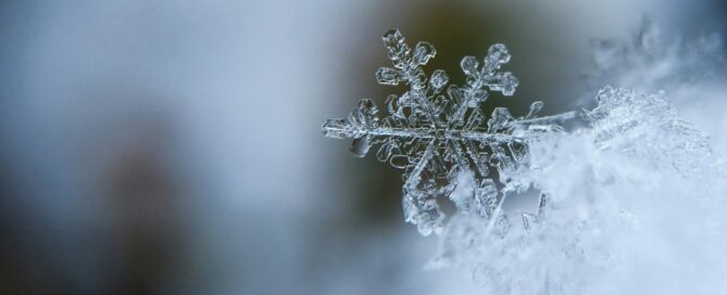 a close up of a snowflake
