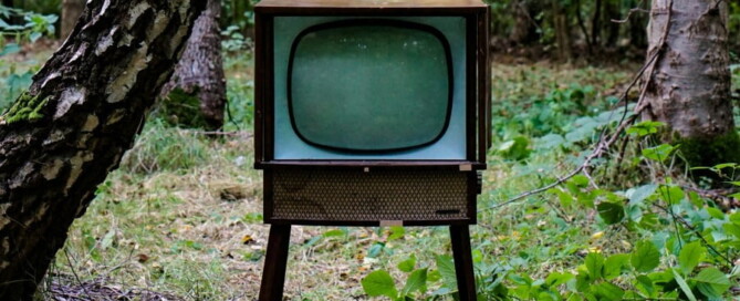 a television in the woods